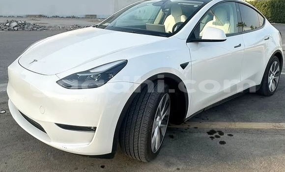 Buy Used Tesla Model X White Car in Bandarmu'ayo in Bari Buy Used Tesla Model X White Car in Bandarmu'ayo in Bari