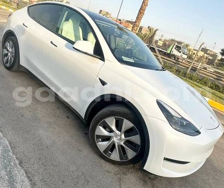 Big with watermark tesla model x bari bandarmu ayo 6234
