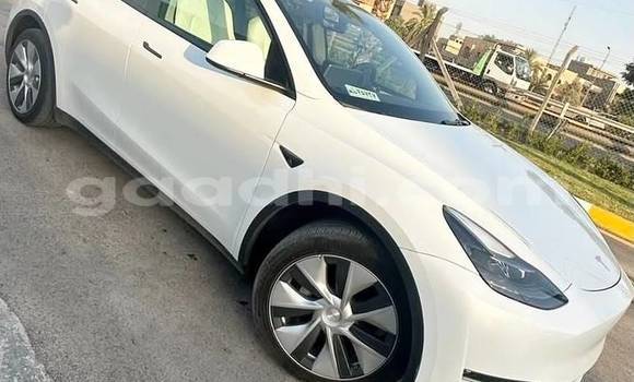 Buy Used Tesla Model X White Car in Bandarmu'ayo in Bari Buy Used Tesla Model X White Car in Bandarmu'ayo in Bari