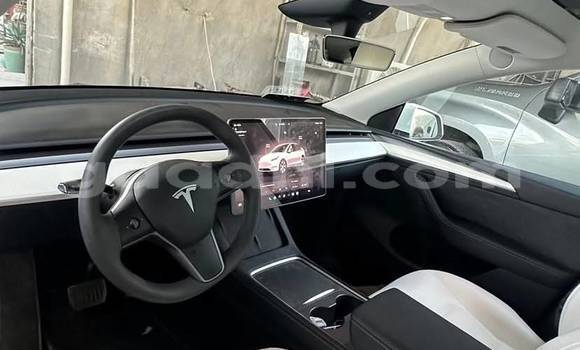 Buy Used Tesla Model X White Car in Bandarmu'ayo in Bari Buy Used Tesla Model X White Car in Bandarmu'ayo in Bari