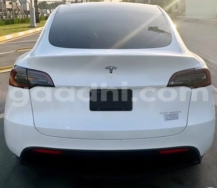 Big with watermark tesla model x bari bandarmu ayo 6234