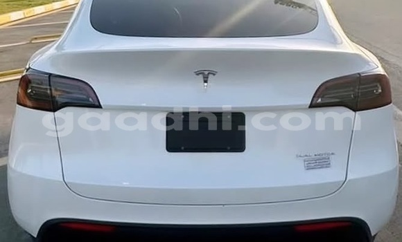 Buy Used Tesla Model X White Car in Bandarmu'ayo in Bari Buy Used Tesla Model X White Car in Bandarmu'ayo in Bari