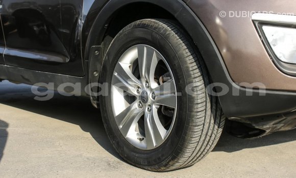 Buy Import Kia Sportage Brown Car in Import - Dubai in Somalia