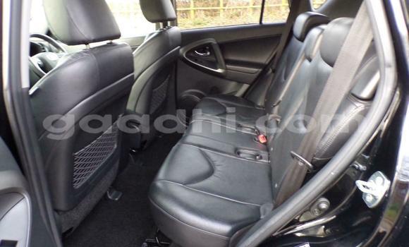 Buy Used Toyota RAV4 White Car in Mogadishu in Somalia Buy Used Toyota RAV4 White Car in Mogadishu in Somalia