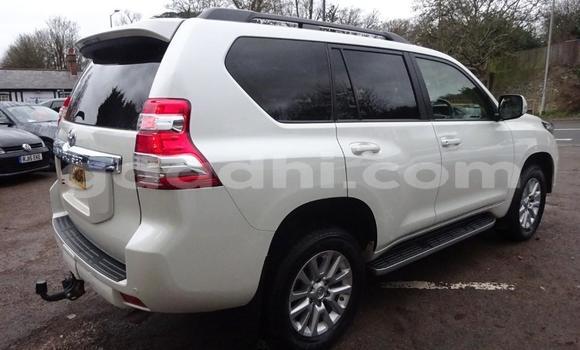 Buy Used Toyota Land Cruiser Prado White Car in Mogadishu in Somalia Buy Used Toyota Land Cruiser Prado White Car in Mogadishu in Somalia