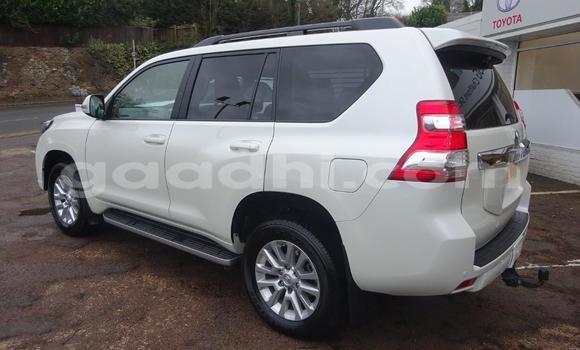Buy Used Toyota Land Cruiser Prado White Car in Mogadishu in Somalia Buy Used Toyota Land Cruiser Prado White Car in Mogadishu in Somalia