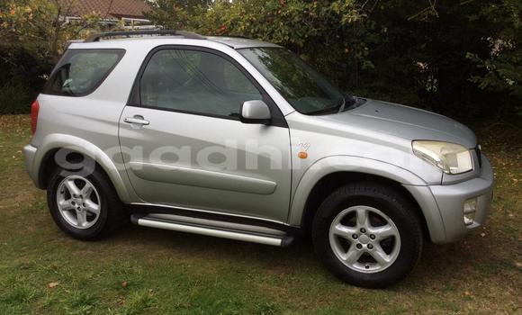 Buy Used Toyota RAV4 Silver Car in Mogadishu in Somalia Buy Used Toyota RAV4 Silver Car in Mogadishu in Somalia