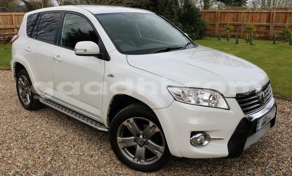 Buy Used Toyota RAV4 White Car in Mogadishu in Somalia Buy Used Toyota RAV4 White Car in Mogadishu in Somalia