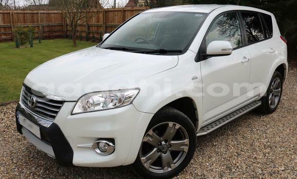 Buy Used Toyota RAV4 White Car in Mogadishu in Somalia Buy Used Toyota RAV4 White Car in Mogadishu in Somalia