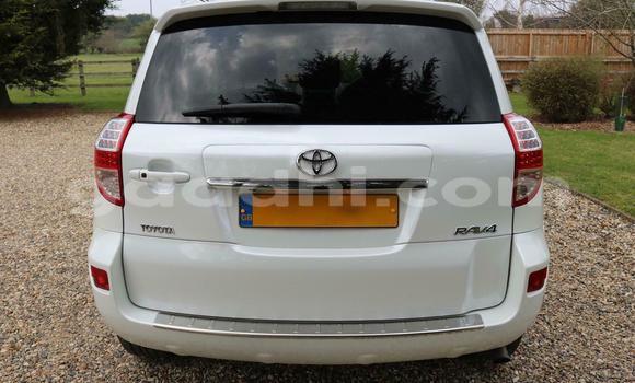 Buy Used Toyota RAV4 White Car in Mogadishu in Somalia Buy Used Toyota RAV4 White Car in Mogadishu in Somalia
