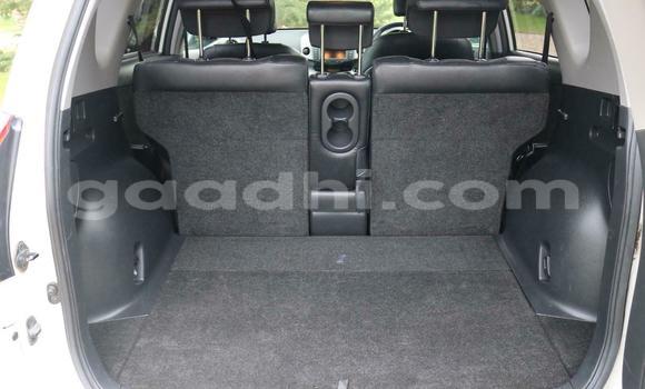 Buy Used Toyota RAV4 White Car in Mogadishu in Somalia Buy Used Toyota RAV4 White Car in Mogadishu in Somalia