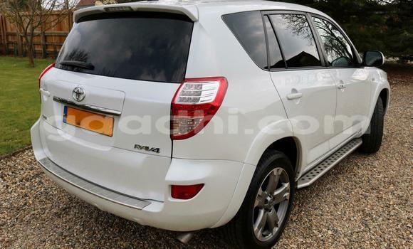 Buy Used Toyota RAV4 White Car in Mogadishu in Somalia Buy Used Toyota RAV4 White Car in Mogadishu in Somalia