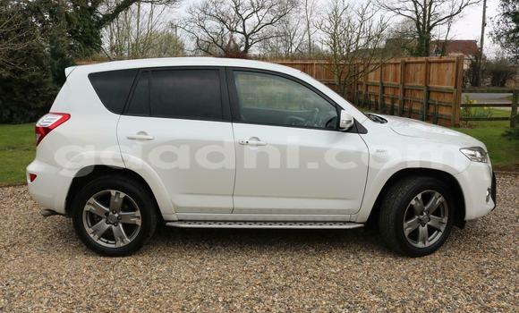 Buy Used Toyota RAV4 White Car in Mogadishu in Somalia Buy Used Toyota RAV4 White Car in Mogadishu in Somalia