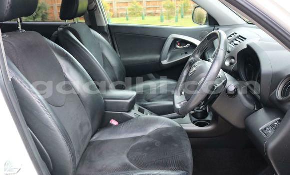 Buy Used Toyota RAV4 White Car in Mogadishu in Somalia Buy Used Toyota RAV4 White Car in Mogadishu in Somalia