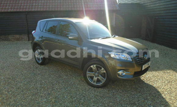 Buy Used Toyota RAV4 Beige Car in Mogadishu in Somalia Buy Used Toyota RAV4 Beige Car in Mogadishu in Somalia