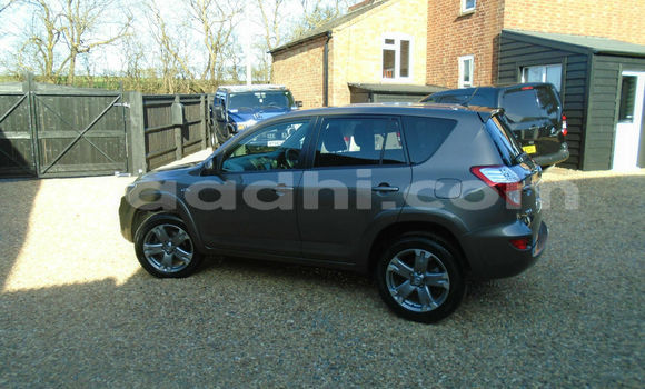 Buy Used Toyota RAV4 Beige Car in Mogadishu in Somalia Buy Used Toyota RAV4 Beige Car in Mogadishu in Somalia