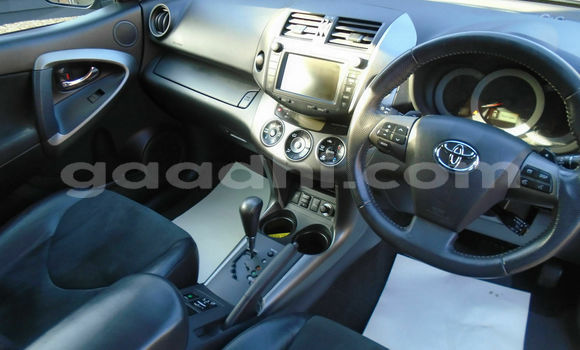 Buy Used Toyota RAV4 Beige Car in Mogadishu in Somalia Buy Used Toyota RAV4 Beige Car in Mogadishu in Somalia