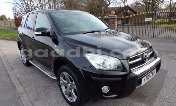 Buy Used Toyota RAV4 Black Car in Mogadishu in Somalia Buy Used Toyota RAV4 Black Car in Mogadishu in Somalia