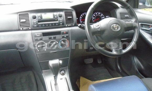 Buy Used Toyota Corolla Beige Car in Mogadishu in Somalia Buy Used Toyota Corolla Beige Car in Mogadishu in Somalia