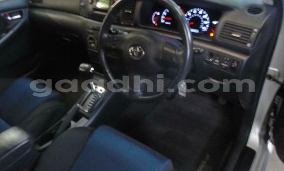 Buy Used Toyota Corolla Beige Car in Mogadishu in Somalia Buy Used Toyota Corolla Beige Car in Mogadishu in Somalia
