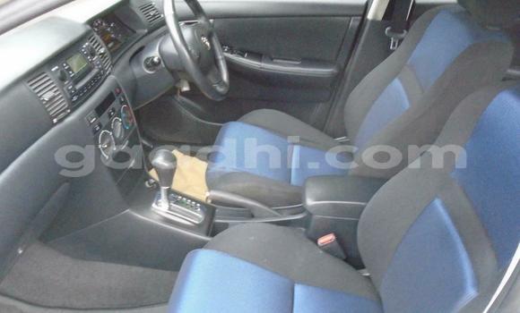 Buy Used Toyota Corolla Beige Car in Mogadishu in Somalia Buy Used Toyota Corolla Beige Car in Mogadishu in Somalia