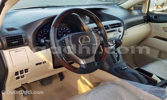 اشتري Imported Lexus RX 350 أبيض سيارة في Import - Dubai في الصومال اشتري Imported Lexus RX 350 أبيض سيارة في Import - Dubai في الصومال