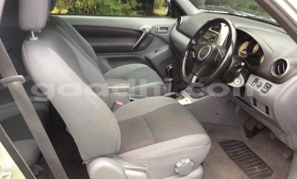 Buy Used Toyota RAV4 Silver Car in Mogadishu in Somalia Buy Used Toyota RAV4 Silver Car in Mogadishu in Somalia