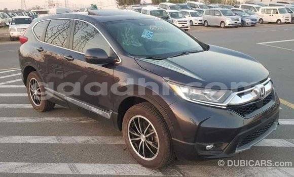 ይግዙ Imported Honda C ሌላ ሞተር በ Import - Dubai በ ሶማሊያ ይግዙ Imported Honda C ሌላ ሞተር በ Import - Dubai በ ሶማሊያ