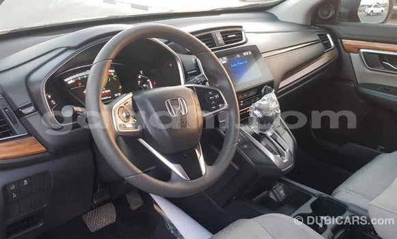 ይግዙ Imported Honda C ሌላ ሞተር በ Import - Dubai በ ሶማሊያ ይግዙ Imported Honda C ሌላ ሞተር በ Import - Dubai በ ሶማሊያ