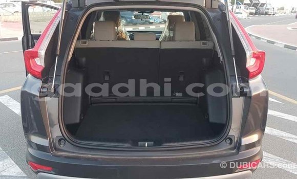 ይግዙ Imported Honda C ሌላ ሞተር በ Import - Dubai በ ሶማሊያ ይግዙ Imported Honda C ሌላ ሞተር በ Import - Dubai በ ሶማሊያ