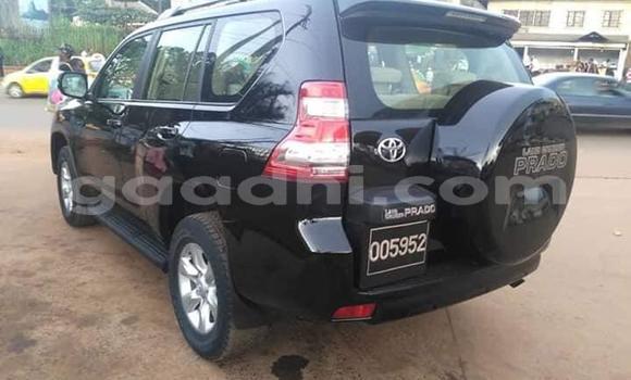 Buy Used Toyota Land Cruiser Prado Black Car in Mogadishu in Somalia Buy Used Toyota Land Cruiser Prado Black Car in Mogadishu in Somalia