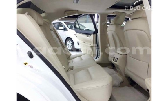 Imported Lexus ES White Makiinaa iti Import - Dubai keessatti Somalia keessatti Imported Lexus ES White Makiinaa iti Import - Dubai keessatti Somalia keessatti