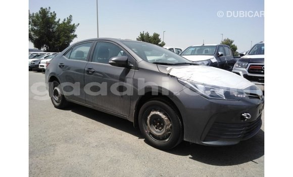 اشتري Imported Toyota Corolla آخر سيارة في Import - Dubai في الصومال اشتري Imported Toyota Corolla آخر سيارة في Import - Dubai في الصومال