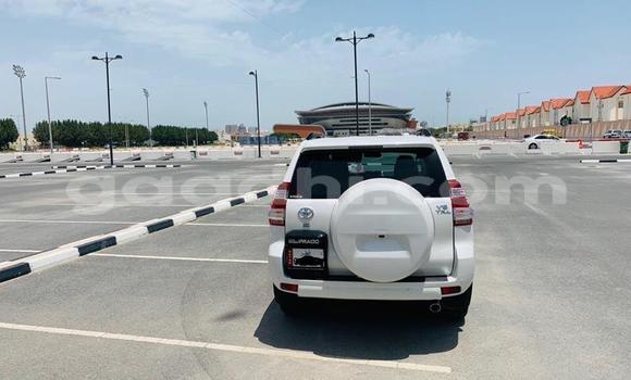 Buy Used Toyota Land Cruiser Prado White Car in Mogadishu in Somalia Buy Used Toyota Land Cruiser Prado White Car in Mogadishu in Somalia