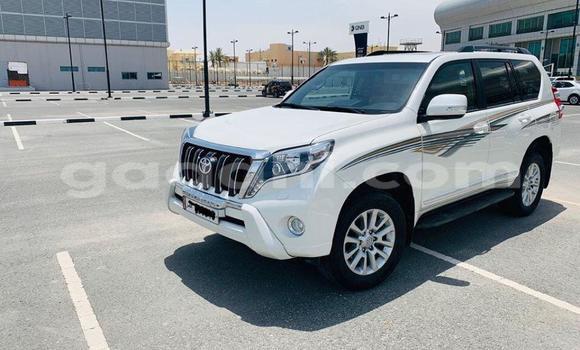Buy Used Toyota Land Cruiser Prado White Car in Mogadishu in Somalia Buy Used Toyota Land Cruiser Prado White Car in Mogadishu in Somalia