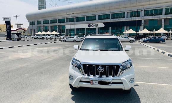 Buy Used Toyota Land Cruiser Prado White Car in Mogadishu in Somalia Buy Used Toyota Land Cruiser Prado White Car in Mogadishu in Somalia