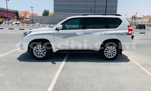 Buy Used Toyota Land Cruiser Prado White Car in Mogadishu in Somalia Buy Used Toyota Land Cruiser Prado White Car in Mogadishu in Somalia