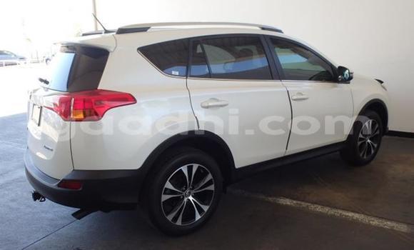 Buy Used Toyota RAV4 White Car in Muqdisho in Banadir Buy Used Toyota RAV4 White Car in Muqdisho in Banadir
