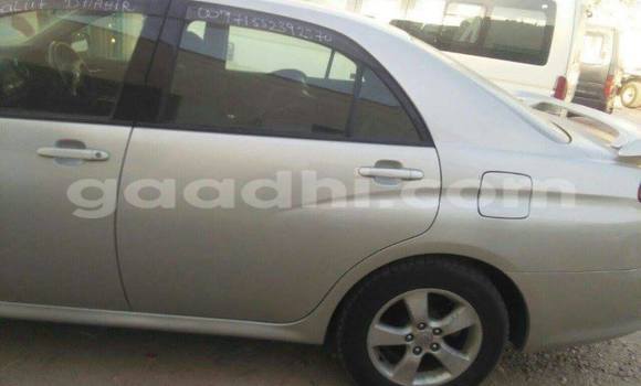 اشتري مستعمل Toyota MR2 أبيض سيارة في هرجيسا في أرض الصومال اشتري مستعمل Toyota MR2 أبيض سيارة في هرجيسا في أرض الصومال