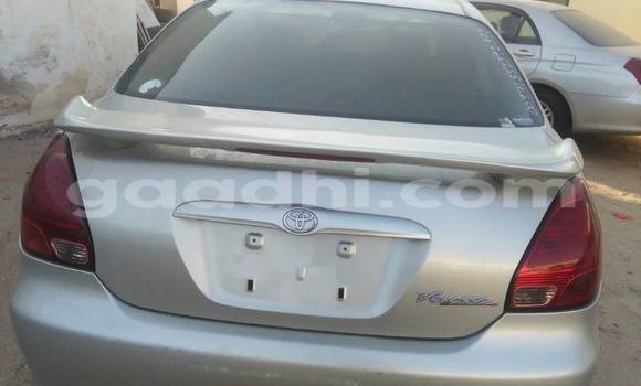 اشتري مستعمل Toyota MR2 أبيض سيارة في هرجيسا في أرض الصومال اشتري مستعمل Toyota MR2 أبيض سيارة في هرجيسا في أرض الصومال