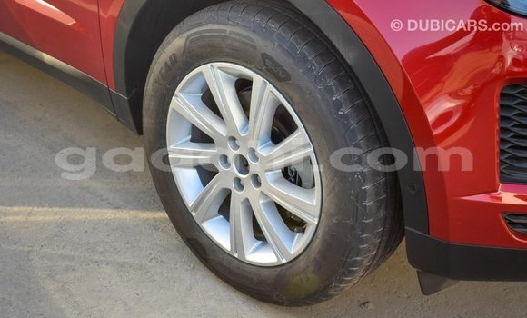 Buy Import Jaguar E-Pace Red Car in Import - Dubai in Somalia