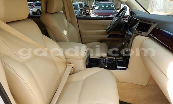 Oofamaa Lexus LX 570 White Makiinaa iti Bandarmu'ayo keessatti Bari keessatti Oofamaa Lexus LX 570 White Makiinaa iti Bandarmu'ayo keessatti Bari keessatti