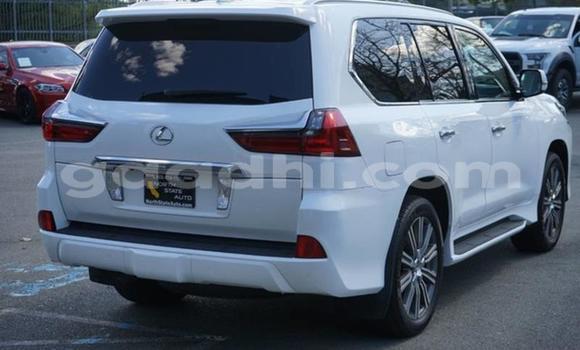 Oofamaa Lexus LX 570 White Makiinaa iti Mogadishu keessatti Somalia keessatti Oofamaa Lexus LX 570 White Makiinaa iti Mogadishu keessatti Somalia keessatti