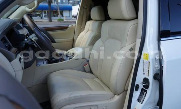 Oofamaa Lexus LX 570 White Makiinaa iti Mogadishu keessatti Somalia keessatti Oofamaa Lexus LX 570 White Makiinaa iti Mogadishu keessatti Somalia keessatti