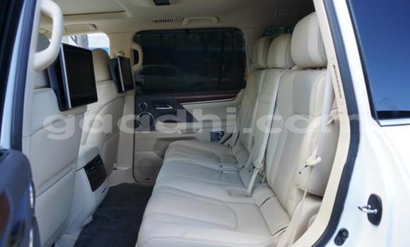 Oofamaa Lexus LX 570 White Makiinaa iti Mogadishu keessatti Somalia keessatti Oofamaa Lexus LX 570 White Makiinaa iti Mogadishu keessatti Somalia keessatti