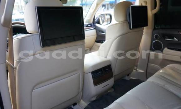 Oofamaa Lexus LX 570 White Makiinaa iti Mogadishu keessatti Somalia keessatti Oofamaa Lexus LX 570 White Makiinaa iti Mogadishu keessatti Somalia keessatti