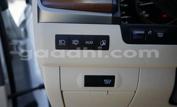 Oofamaa Lexus LX 570 White Makiinaa iti Mogadishu keessatti Somalia keessatti Oofamaa Lexus LX 570 White Makiinaa iti Mogadishu keessatti Somalia keessatti