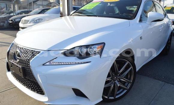 Oofamaa Lexus IS White Makiinaa iti Mogadishu keessatti Somalia keessatti Oofamaa Lexus IS White Makiinaa iti Mogadishu keessatti Somalia keessatti