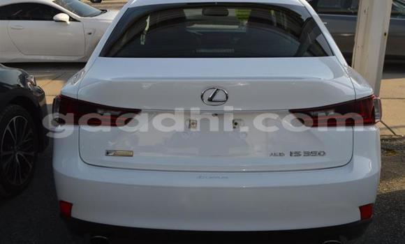 Oofamaa Lexus IS White Makiinaa iti Mogadishu keessatti Somalia keessatti Oofamaa Lexus IS White Makiinaa iti Mogadishu keessatti Somalia keessatti