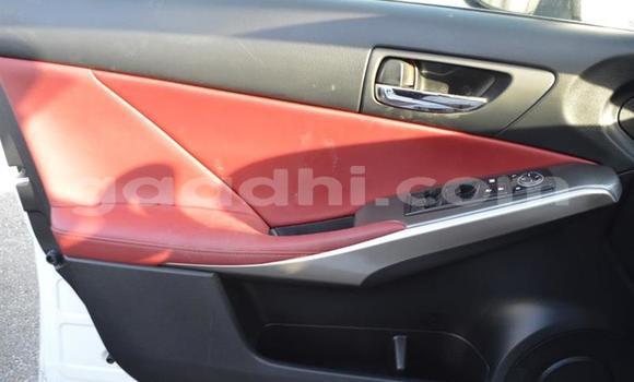 Oofamaa Lexus IS White Makiinaa iti Mogadishu keessatti Somalia keessatti Oofamaa Lexus IS White Makiinaa iti Mogadishu keessatti Somalia keessatti